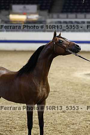 Proof 10r13_5353