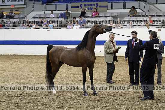 Proof 10r13_5354