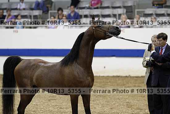 Proof 10r13_5355