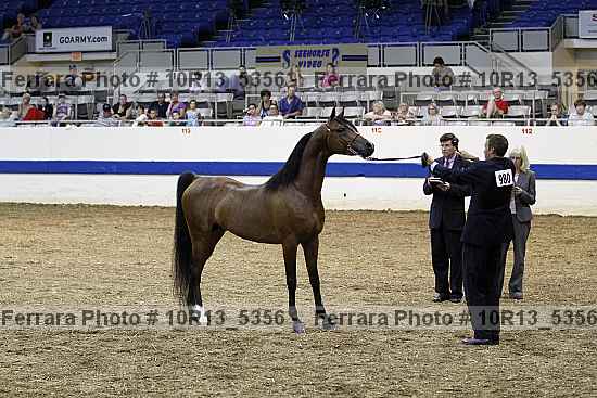 Proof 10r13_5356