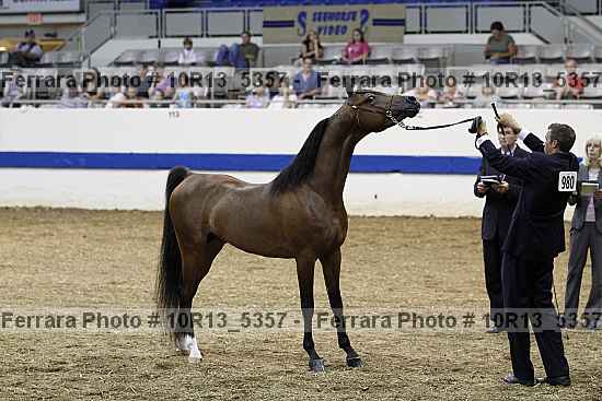 Proof 10r13_5357