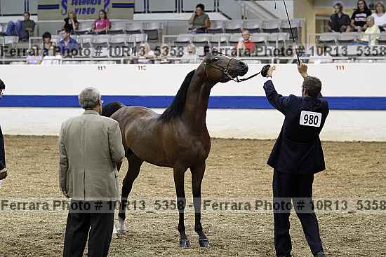 Proof 10r13_5358