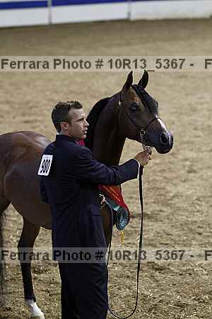 Proof 10r13_5367