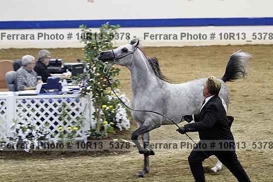 Proof 10r13_5378