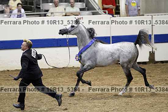 Proof 10r13_5384