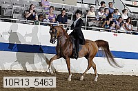 10r13_5463 proof
