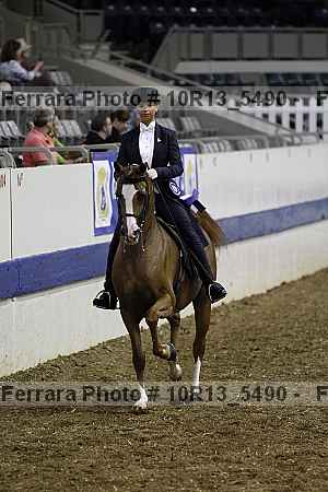 Proof 10r13_5490