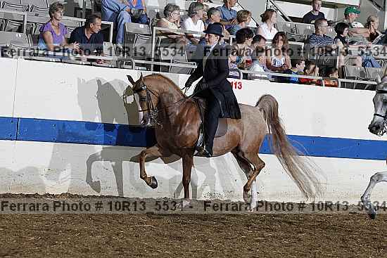 Proof 10r13_5534