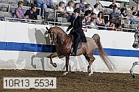 10r13_5534 proof