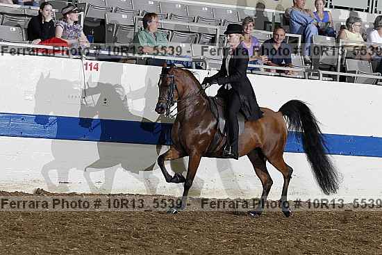 Proof 10r13_5539