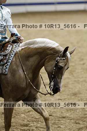 Proof 10r13_5616