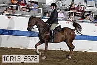 10r13_5678 proof