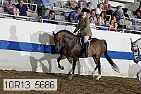 10r13_5686 proof