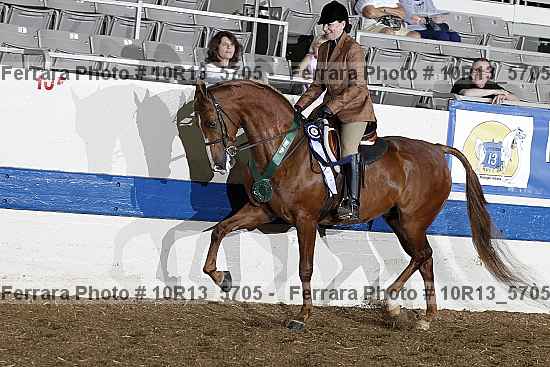 Proof 10r13_5705