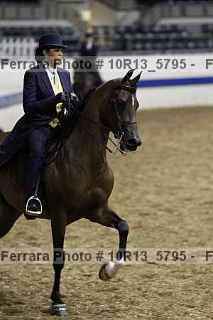 Proof 10r13_5795