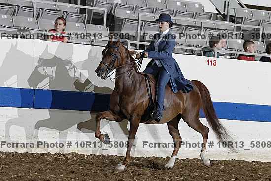 Proof 10r13_5808