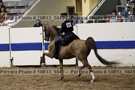 Proof 10r13_5845