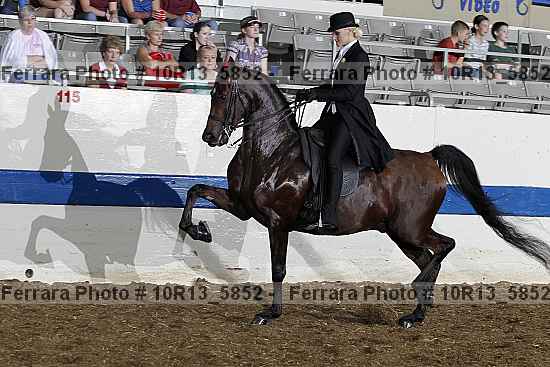Proof 10r13_5852