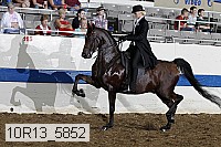 10r13_5852 proof