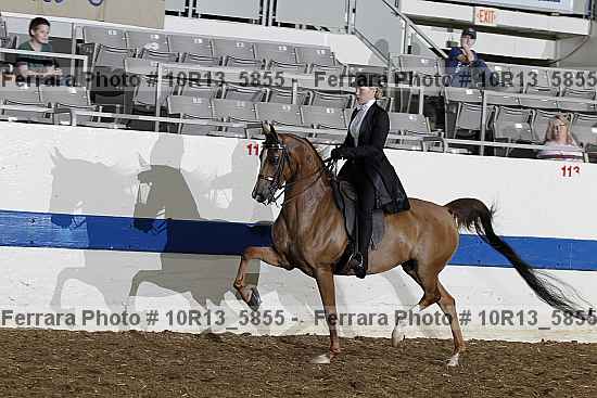 Proof 10r13_5855