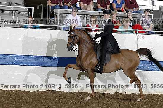 Proof 10r13_5856