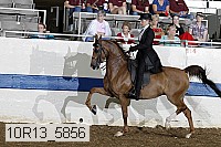 10r13_5856 proof