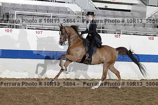 Proof 10r13_5864