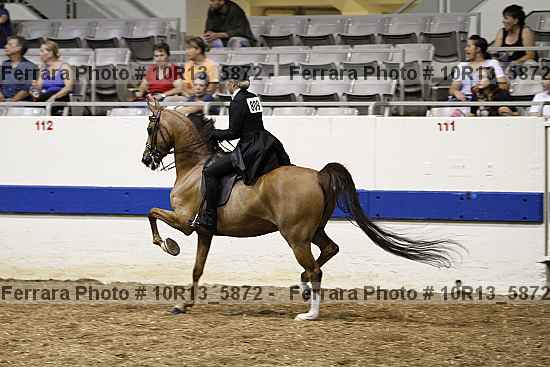 Proof 10r13_5872