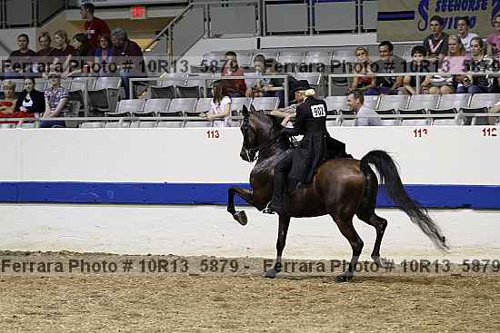 Proof 10r13_5879