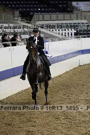 Proof 10r13_5895