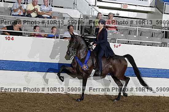 Proof 10r13_5909