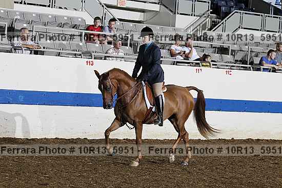Proof 10r13_5951