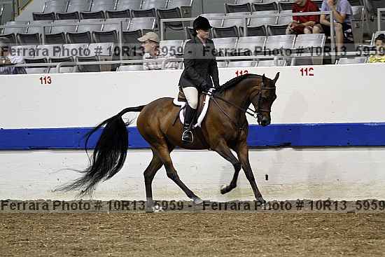 Proof 10r13_5959