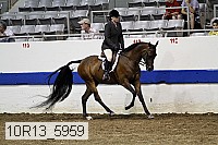 10r13_5959 proof