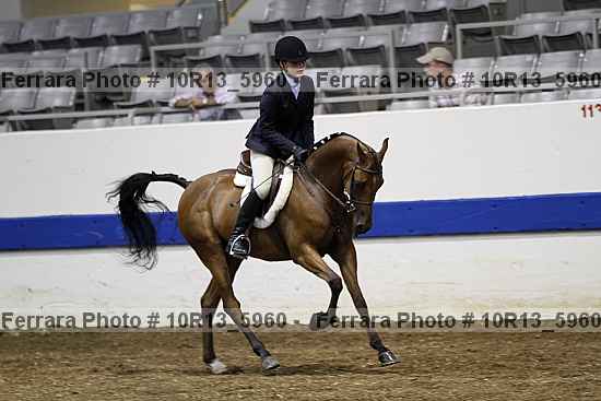 Proof 10r13_5960
