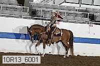 10r13_6001 proof