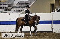 10r13_6025 proof