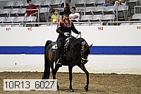 10r13_6027 proof