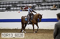 10r13_6028 proof
