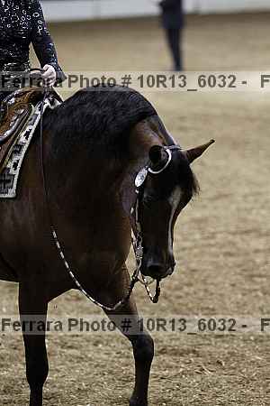 Proof 10r13_6032