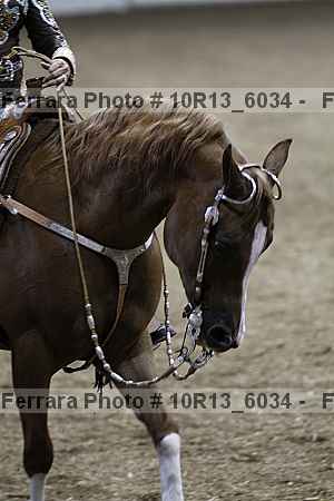 Proof 10r13_6034