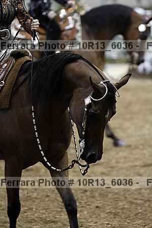 Proof 10r13_6036