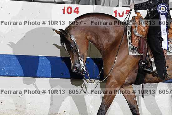 Proof 10r13_6057