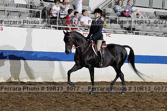 Proof 10r13_6077