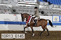 10r13_6145 proof