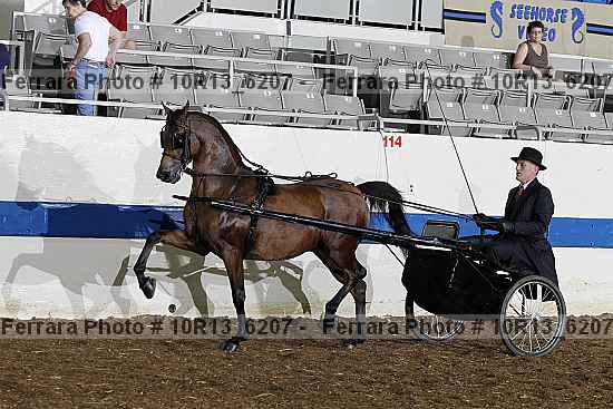 Proof 10r13_6207