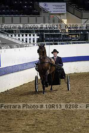 Proof 10r13_6208