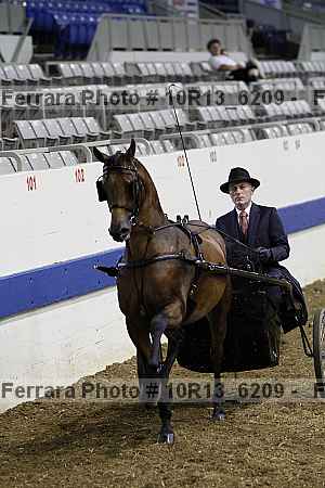 Proof 10r13_6209