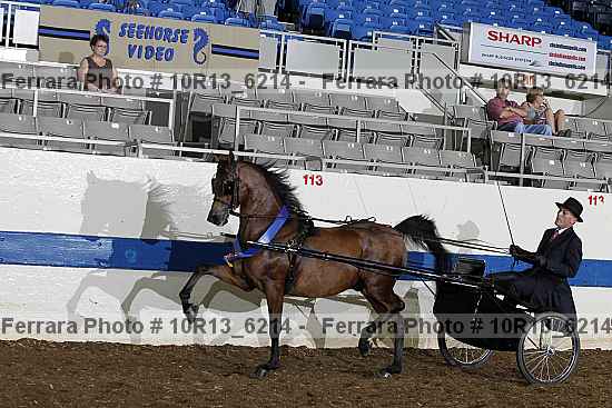 Proof 10r13_6214