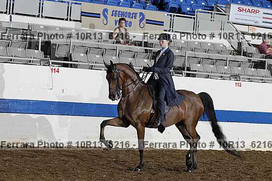 Proof 10r13_6216